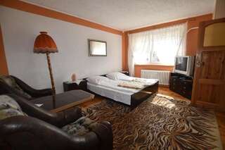 Мотели Motel Za Grosik Валч Большой двухместный номер с 1 кроватью или 2 отдельными кроватями-8